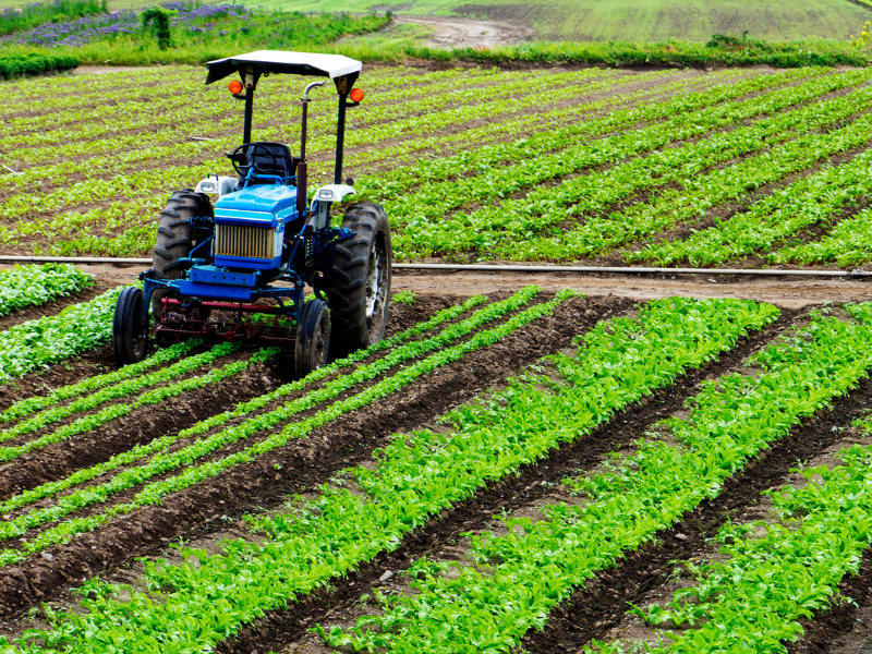 agricultura sostenible